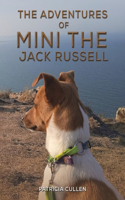 Adventures of Mini the Jack Russell