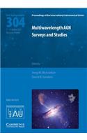 Multiwavelength Agn Surveys and Studies (Iau S304)