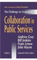 Collaboration in Public Services