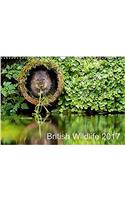 British Wildlife 2017