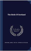 The Birds Of Scotland