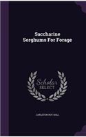 Saccharine Sorghums for Forage