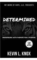 Determined: Persevering with Purpose for a Purpose