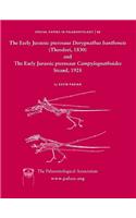 Early Jurassic Pterosaur Dorygnathus Banthensis (Theodori, 1830) and the Early Jurassic Pterosaur Campylognathoides Strand, 1928