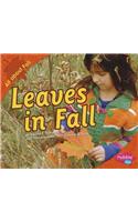 Leaves in Fall