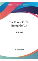 Forest Of St. Bernardo V3