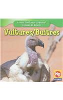 Vultures / Buitres