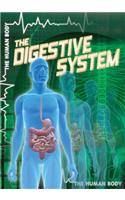 The Digestive System