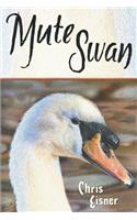 Mute Swan