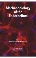 Mechanobiology of the Endothelium