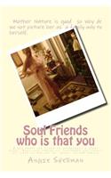 Soul Friends Who Is That You