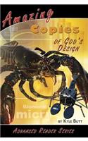 Amazing Copies of God's Design