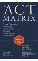 The ACT Matrix: A New Approach to Building Psychological Flexibility Across Settings and Populations