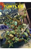 Teenage Mutant Ninja Turtles Heroes Collection