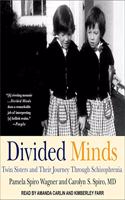 Divided Minds Lib/E