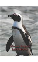 African Penguin NOTEBOOK: notebooks and journals 110 pages (8.5"x11")