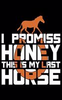 I Promise Honey This Is My Last Horse