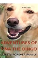 Adventures of Tina the Dingo