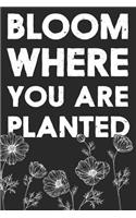 Bloom Where You Are Planted: Journal Lined Pages (6x9) Black & White
