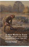 New World in Essex