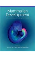 Mammalian Development: Networks, Switches, and Morphogenetic Processes