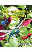 Ants and Beetles, Dragonflies