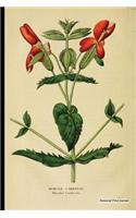 Botanical Print Journal: mimulus cardinalis - 6" x 9" Vintage Botanical Print Journal, Ruled Lined For Writing & Notes
