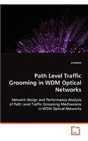 Path Level Traffic Grooming in WDM Optical Networks