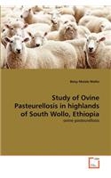 Study of Ovine Pasteurellosis in highlands of South Wollo, Ethiopia