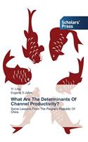 What Are the Determinants of Channel Productivity?