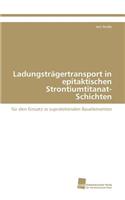 Ladungsträgertransport in epitaktischen Strontiumtitanat-Schichten