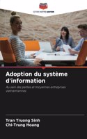Adoption du système d'information
