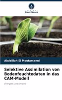 Selektive Assimilation von Bodenfeuchtedaten in das CAM-Modell