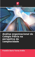 Análise organizacional do Colégio Pátria na perspetiva da complexidade