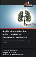 Argille attapulgite: Una guida completa al risanamento ambientale