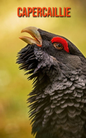 Capercaillie: Amazing Photos & Fun Facts Book About Capercaillie For Kids