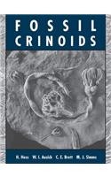 Fossil Crinoids