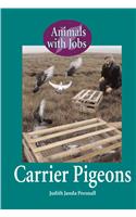 Carrier Pigeons
