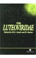 Luteoviridae