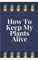 How To Keep My Plants Alive