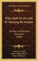 What Shall We Do with It? Meaning the Surplus