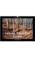 Leaves, Trees and Forest 2017