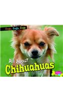All about Chihuahuas
