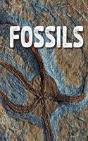Fossils: (Rocks)
