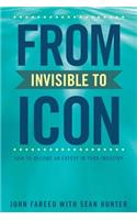 From Invisible to Icon