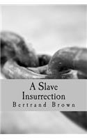 A Slave Insurrection: (English)