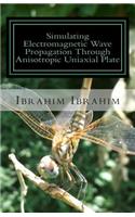 Simulating Electromagnetic Wave Propagation Through Anisotropic Uniaxial Plate: For Normal Incidence with Coordinate-Free Approach