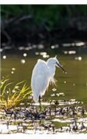 Egret Journal: 150 page lined notebook/diary