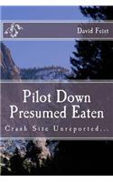 Pilot Down Presumed Eaten: Crash Site Unreported