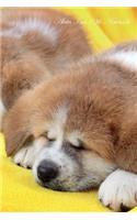 Akita Inu 13th Notebook Record Journal, Diary, Special Memories, To Do List, Academic Notepad, and Much More